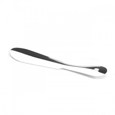 Professional shoes remover stainless steel shoehorn